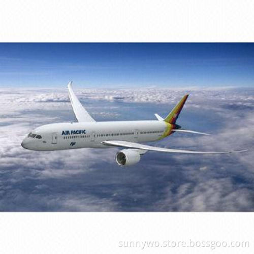 Nice Express Services from Shenzhen to Santos